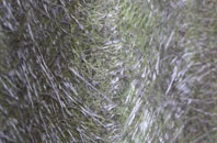 Helmsdale fibreglass roof work